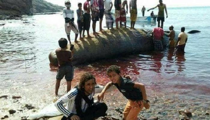 صيادون يمنيون يكشفون تفاصيل بيعهم كنزا عثروا عليه في بطن حوت