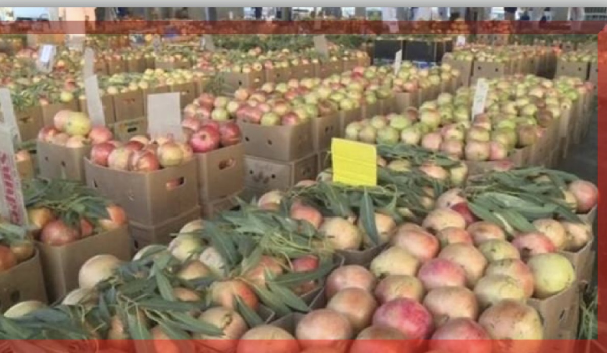 منع تصدير الرمان اليمني إلى السعودية