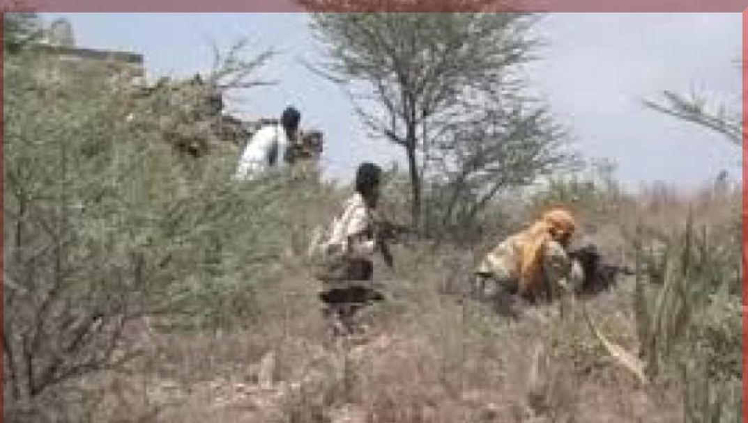 نزاع أرضي يتحول إلى مأساة دموية ويودي بحياة ثلاثة أبناء عم!