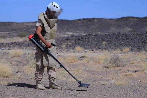 نزع 762 لغماً وذخيرة غير منفجرة خلال أسبوع