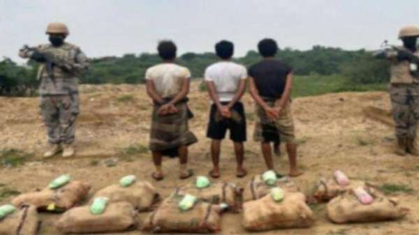 القبض على ثلاثة يمنيين لمحاولتهم تهريب 93 كيلو غرام من القات