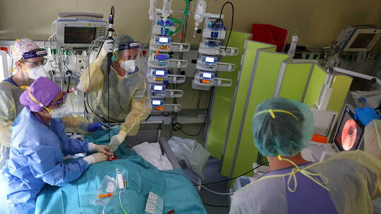 طبيب مصري يكشف الأشخاص الأكثر عرضة للإصابة بـالفطر الأصفر