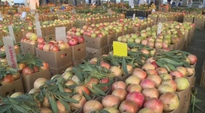 منع تصدير الرمان اليمني إلى الخارج